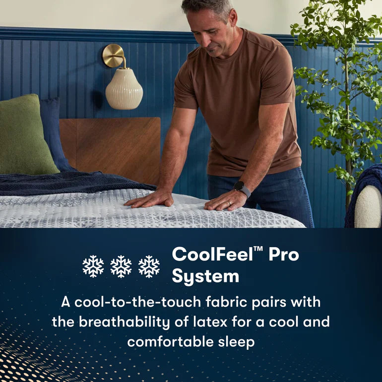 Level 3 / Plush Pillow Top