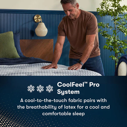 Level 3 / Plush Pillow Top