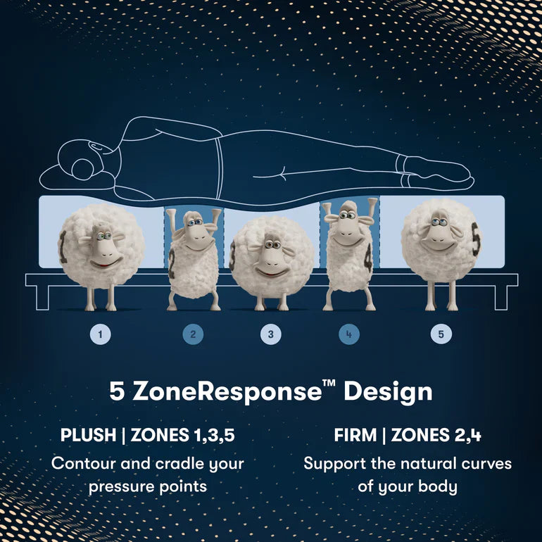 Level 3 / Plush
