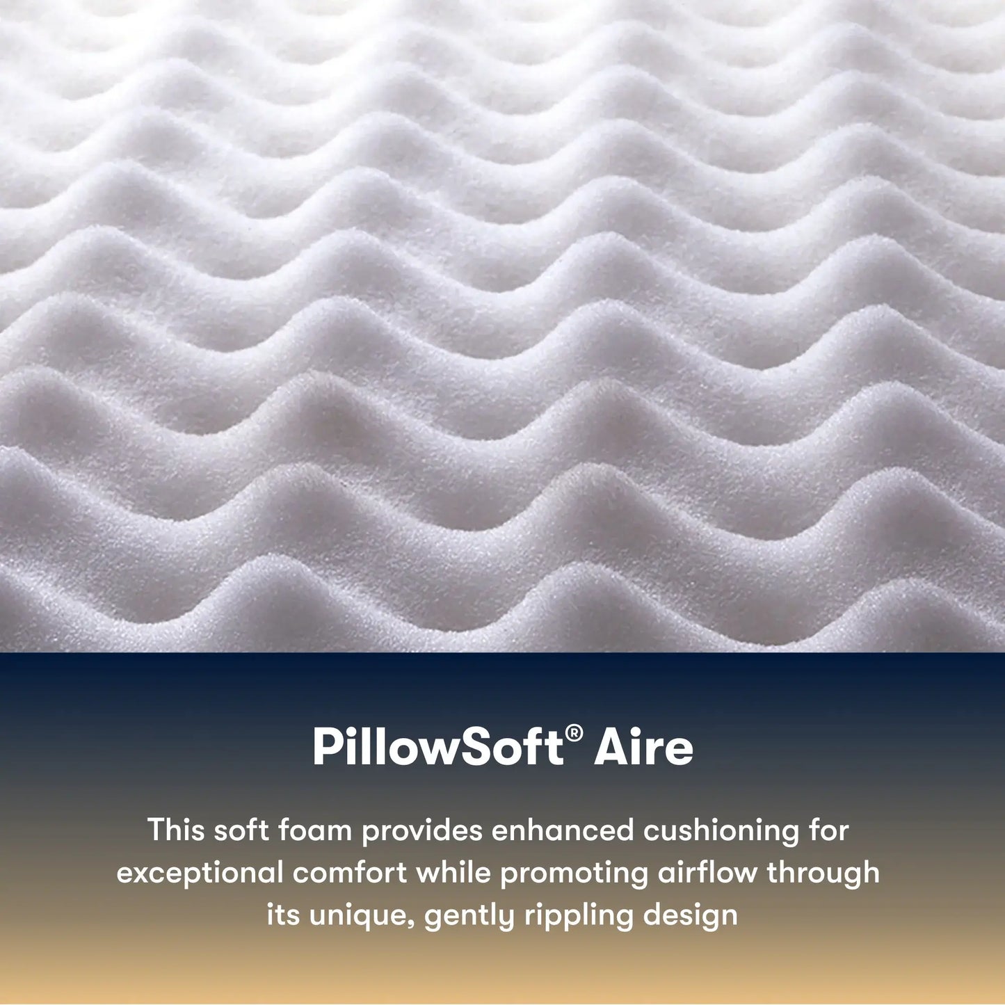 Cascade Canyon Medium 13"