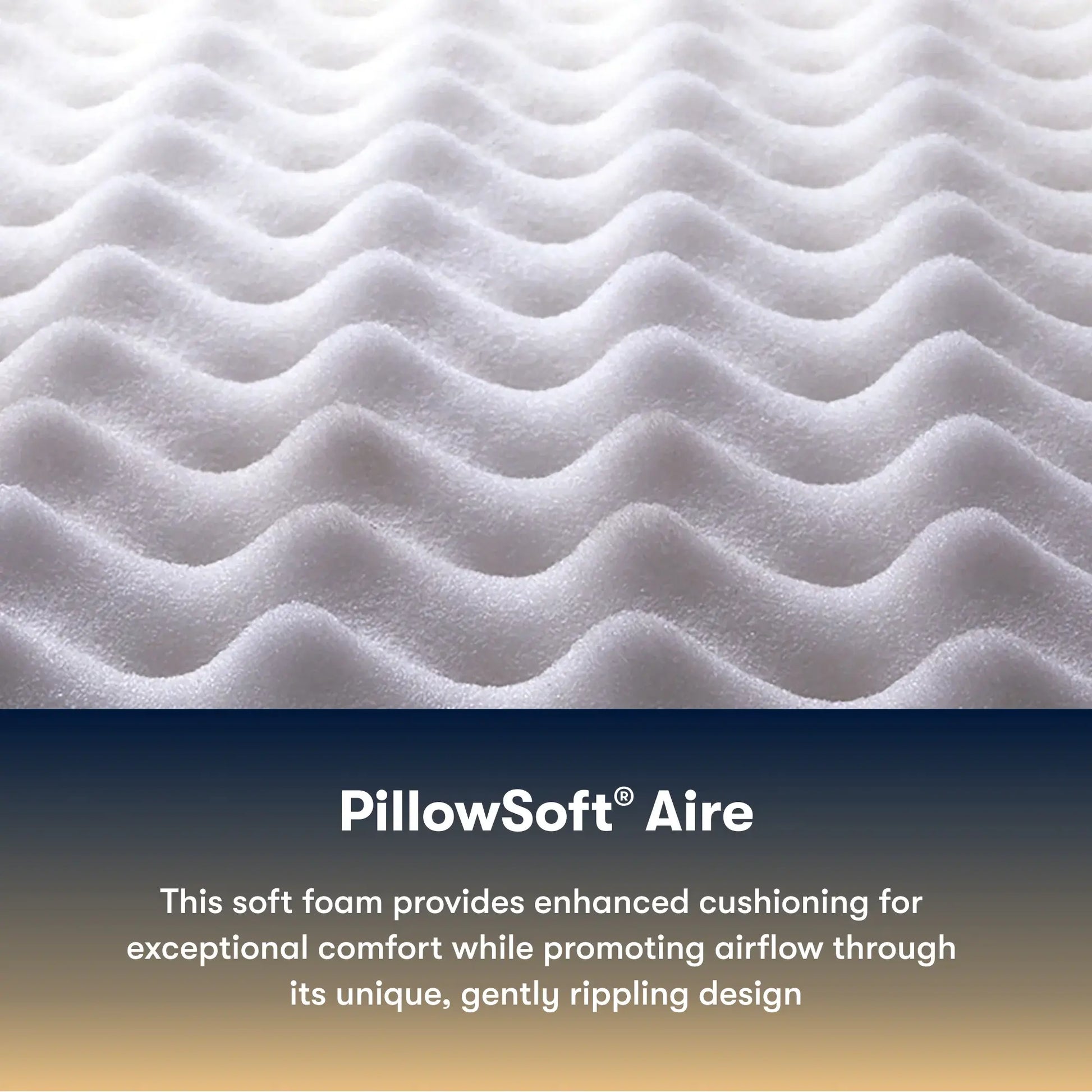 Cascade Canyon Medium 13"