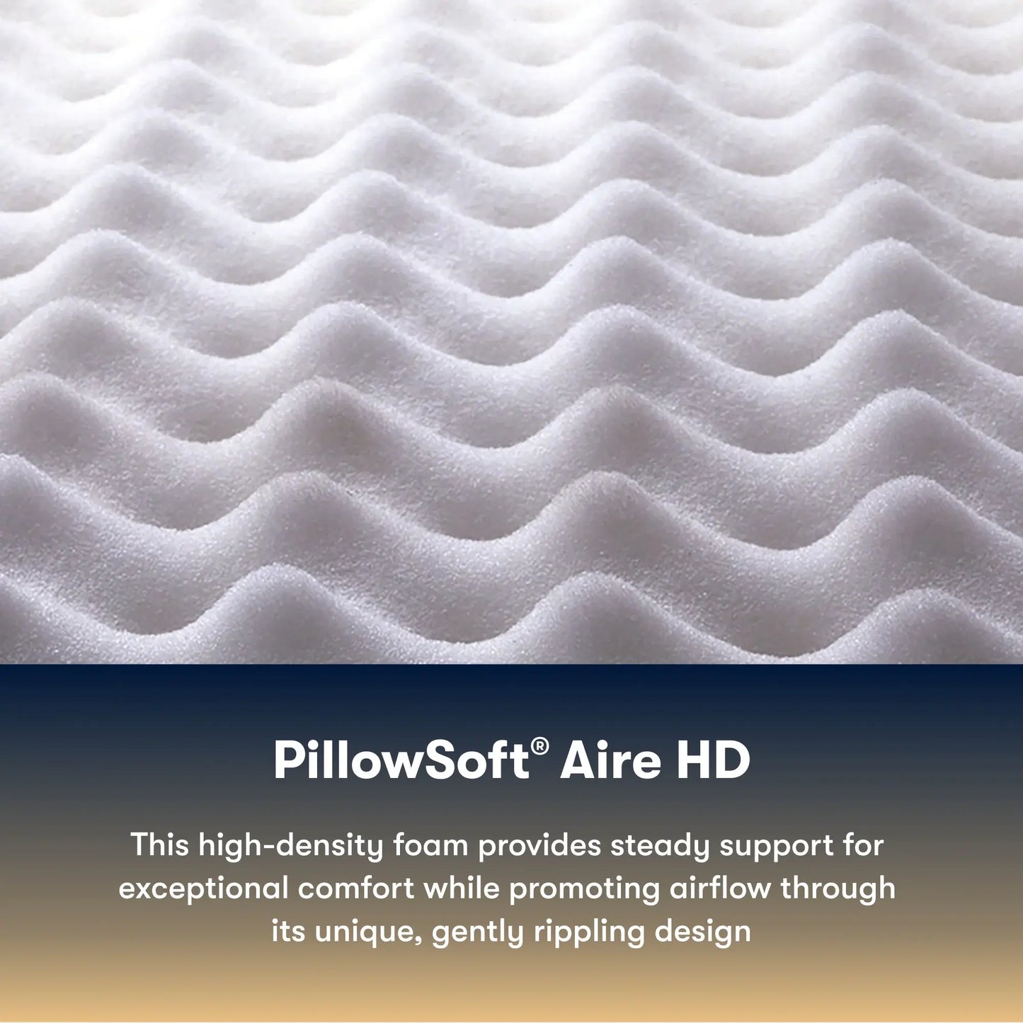 Cascade Canyon Firm 13"