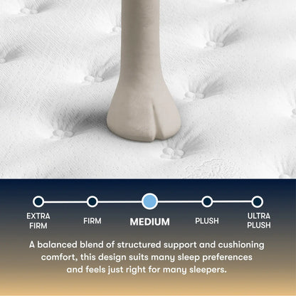 Cascade Canyon Medium 13"