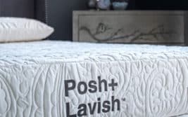 Posh+Lavish Restore Medium