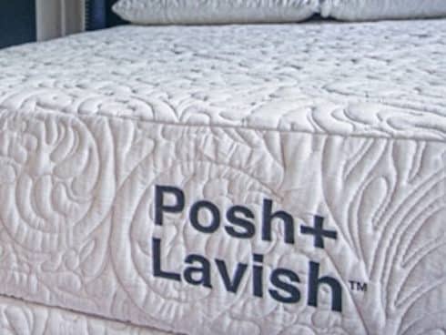 Posh+Lavish Reveal Plush