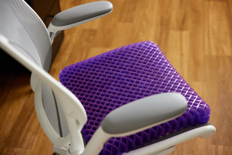 Purple Seat Cushions on chair